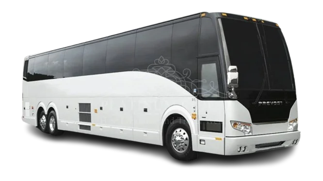 28-Passenger Party Bus
